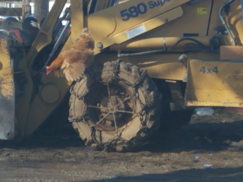 This image has an empty alt attribute; its file name is 20210312_105002.jpg